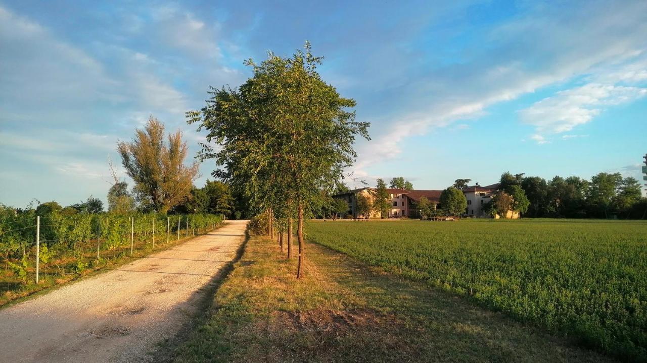 Agriturismo Alle Albare Montorio Veronese 외부 사진