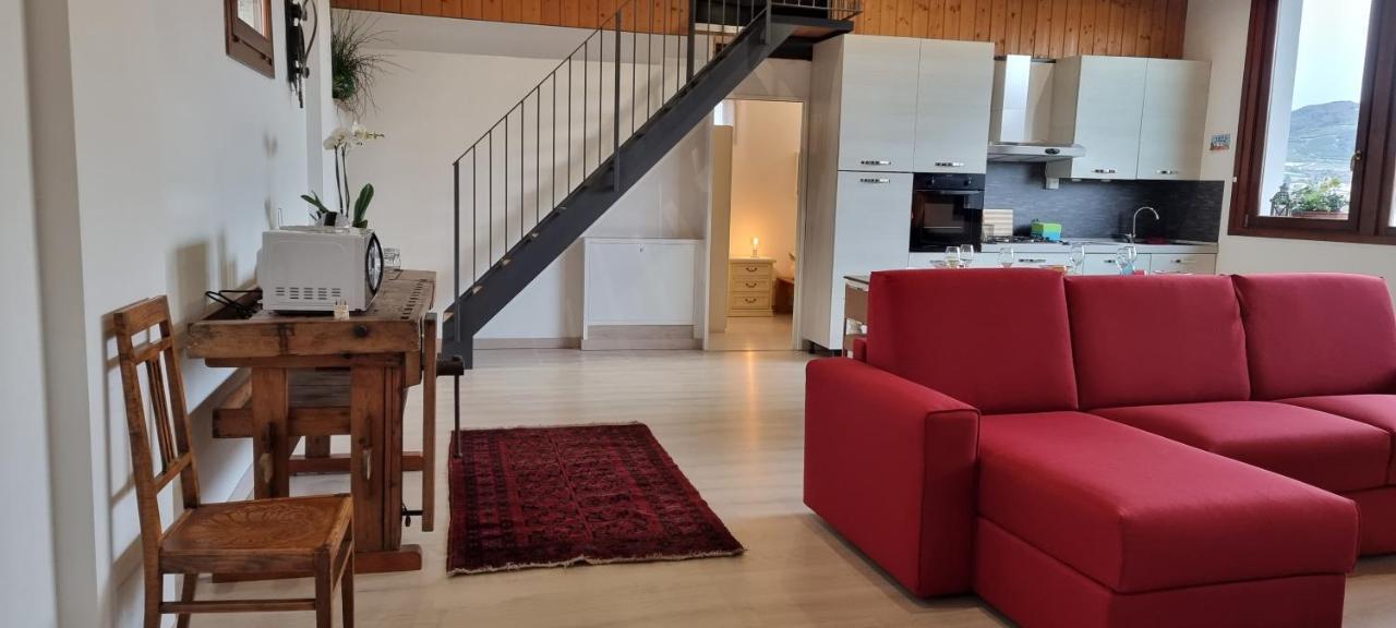 Agriturismo Alle Albare Montorio Veronese 외부 사진