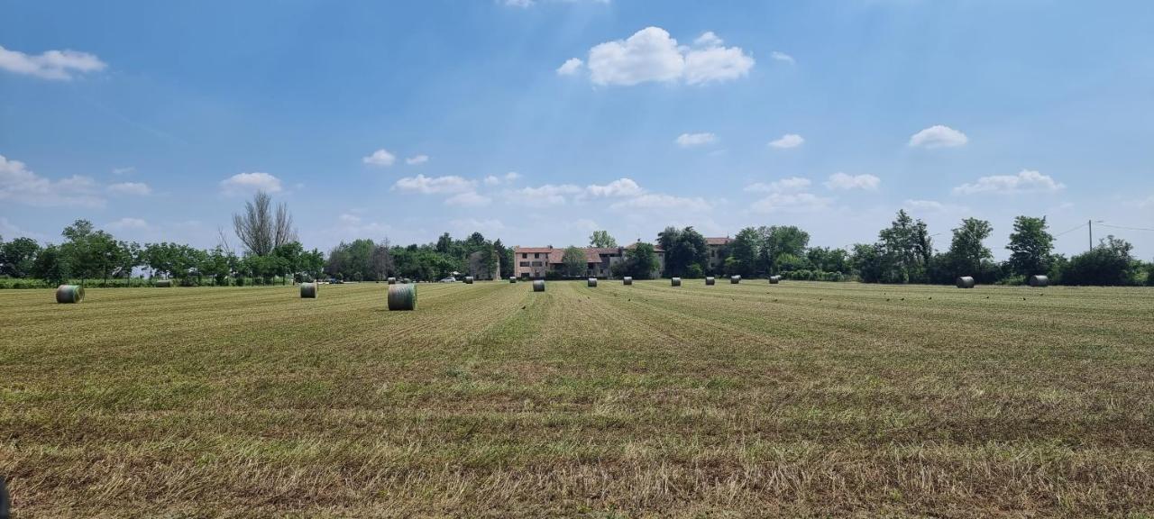 Agriturismo Alle Albare Montorio Veronese 외부 사진