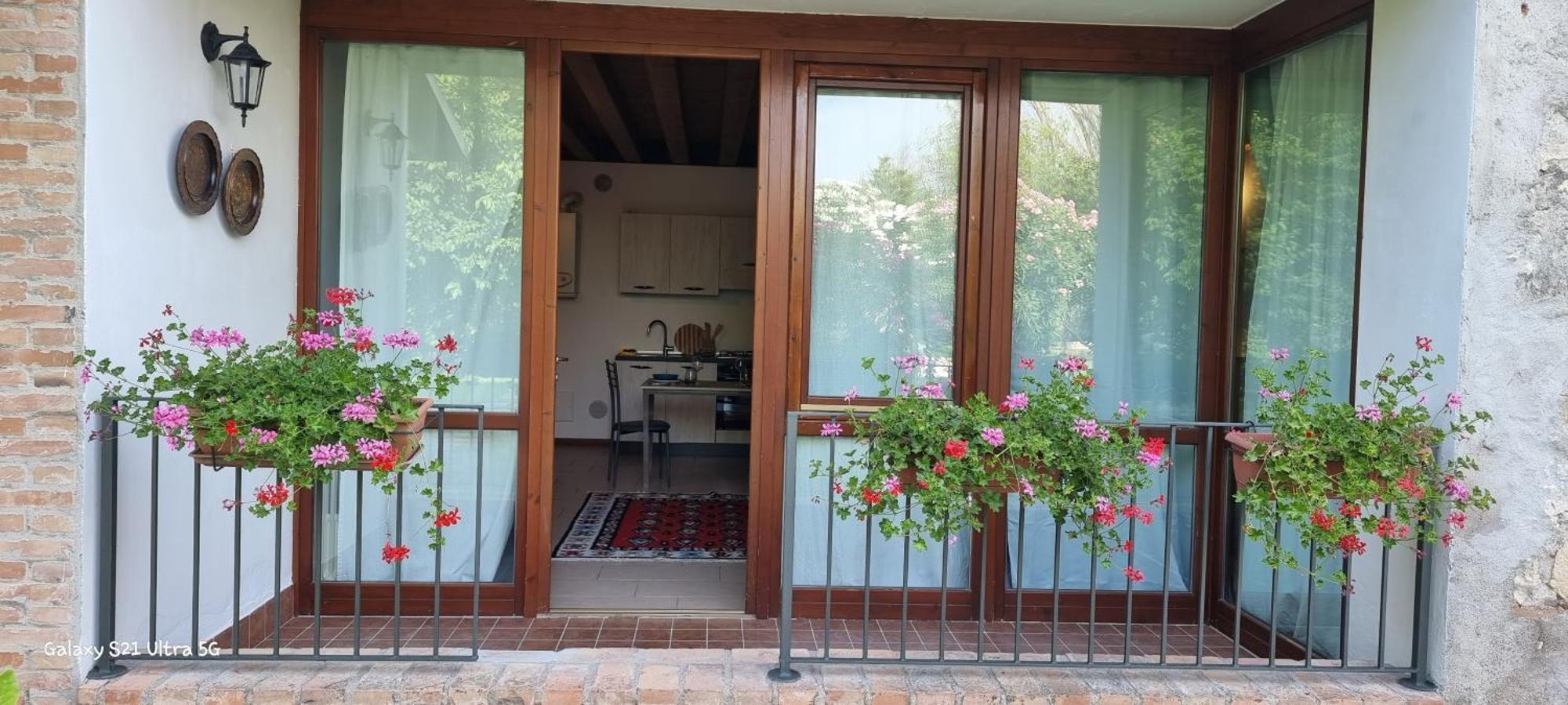 Agriturismo Alle Albare Montorio Veronese 외부 사진
